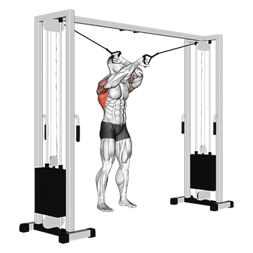 Cable Lat Pulldown Full Range of Motion exercise demonstration